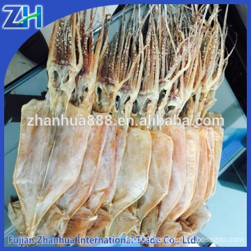 New Frozen dried illex squid hot sale in Thailand